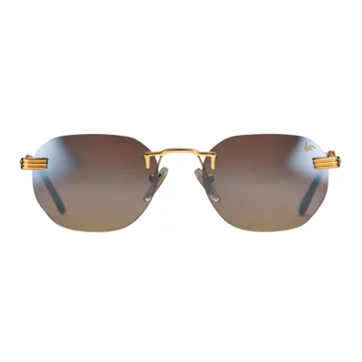 Окуляри сонцезахисні VINTAGE FRAMES VFDMDP2 0010