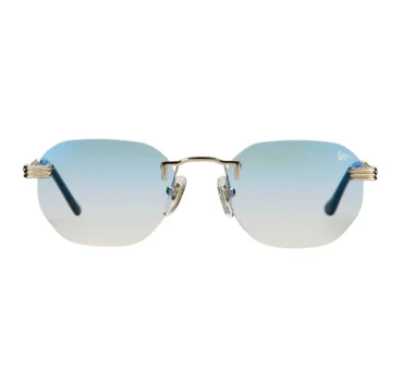 Окуляри сонцезахисні VINTAGE FRAMES VFDMDP2 0042