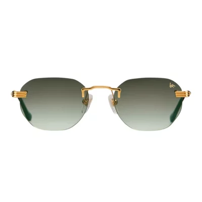 Окуляри сонцезахисні VINTAGE FRAMES VFDMDP2 0046