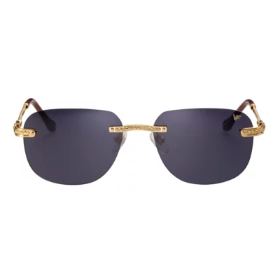 Окуляри сонцезахисні VINTAGE FRAMES VFDMHX2 0002