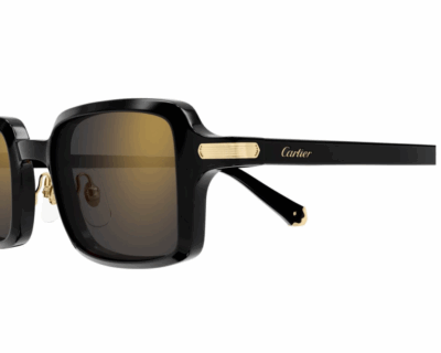 Окуляри сонцезахисні CARTIER CT0539S 001 49 - Зображення 3