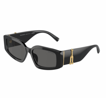 Окуляри сонцезахисні TIFFANY&CO. TF 4208U 8001S4 54
