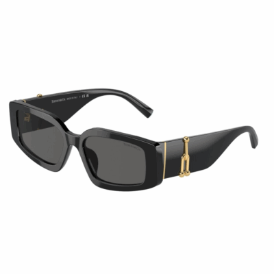 Окуляри сонцезахисні TIFFANY&CO. TF 4208U 8001S4 54