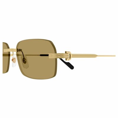 Окуляри сонцезахисні CARTIER CT0271S 009 58 - Зображення 3