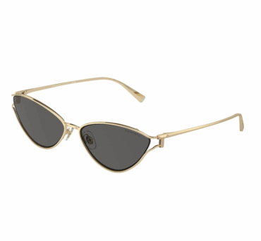 Окуляри сонцезахисні TIFFANY&CO. TF 3095 6021S4 61