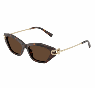 Окуляри сонцезахисні TIFFANY&CO.TF 4231U 80153G 53