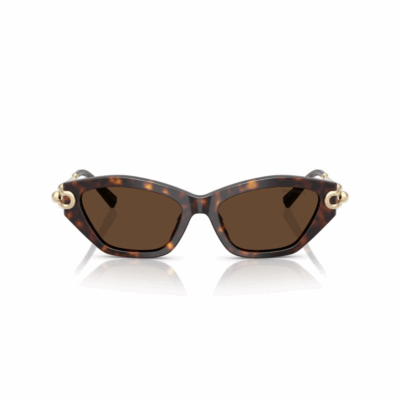 Окуляри сонцезахисні TIFFANY&CO.TF 4231U 80153G 53 - Зображення 3