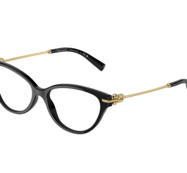 Оправа для окулярів TIFFANY&CO. TF 2231 8001 54